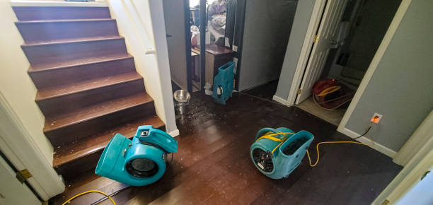 Basement Flood Cleanup and Mold Prevention